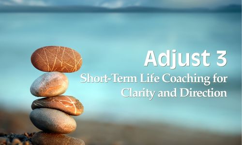 Adjust 3 Coaching Programme