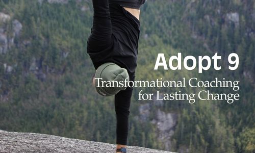 Adopt 9 Coaching Programme
