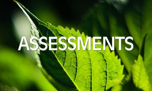 Assessments – DISC Personality Tests and Motivation Mapping