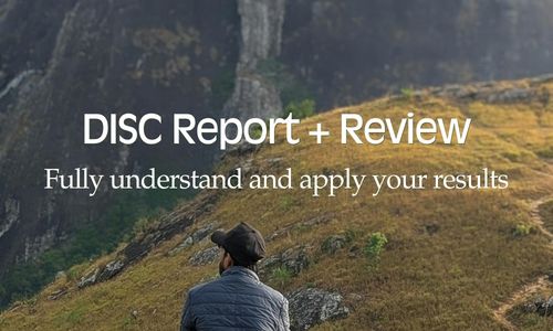 DISC Report & Assessment Session